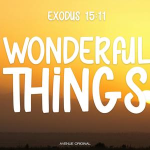 Wonderful Things