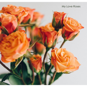 My Love Roses