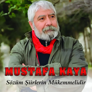 Sözüm Şiirlerin Mükemmelidir