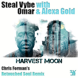 Steal Vybe - Harvest Moon (Club Mix)