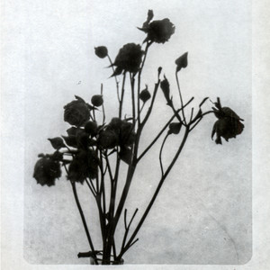 Любовь безумна (Explicit)