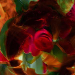 Jupiter Retrograde (Explicit)