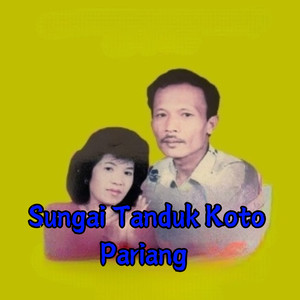 Sungai Tanduk Koto Pariang