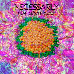 Necessarily (feat. Se'nam Palmer)