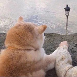 不是因为寂寞才想你