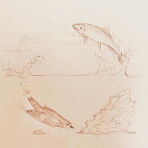 The Bird and the Fish