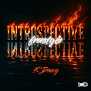 Introspective Freestyle (Explicit)
