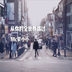 我喜欢你-MC梦小小