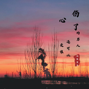 伤了心的男人还可以爱谁