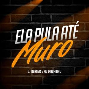 Ela Pula Até Muro (Explicit)