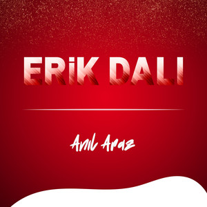 Erik Dalı (Canlı Performans)