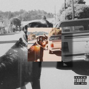 Banquette Arrière (Explicit)