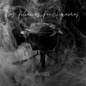 Nos Peleamos Por Amrnos