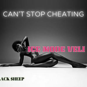 Cant Stop Cheating (Explicit)