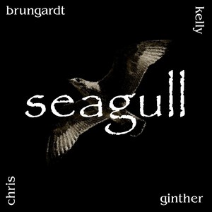 Seagull (feat. Kelly Ginther)