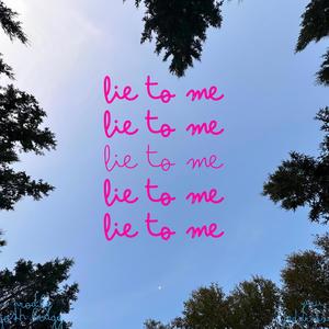 LIE TO ME (feat. Yad.Drizz & Prodby Josh Bragg) (Explicit)