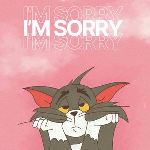 I’m  Sorry (Sad Lofi)