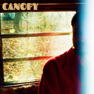 Canopy