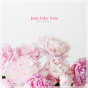 그냥 네가 좋아 (Just Like You)