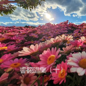 只想对你说呵呵