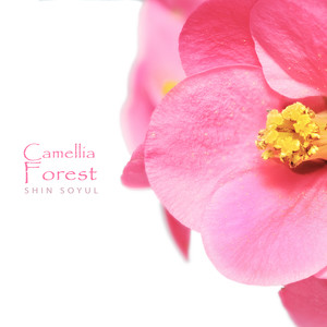 Camellia Forest