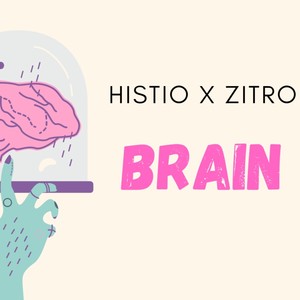 Brain(feat. Zitro) (Explicit)