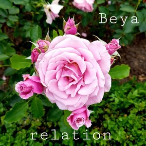 Relation