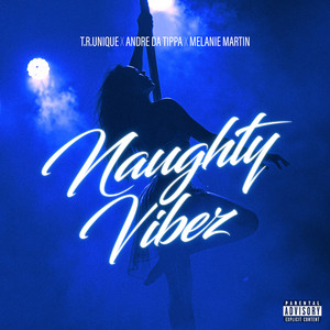 Naughty Vibez (Explicit)