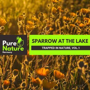 Sparrow at The Lake - Trapped in Nature, Vol.1