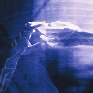 free (feat. Nya Bird & noa!)