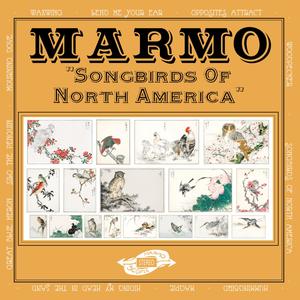 Songbirds of North America