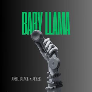 BABY LLAMA (feat. Jp.eer) (Explicit)