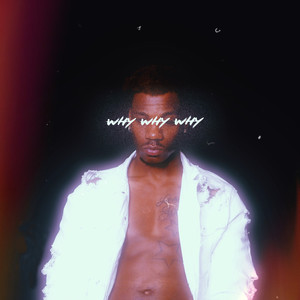 Why, Why, Why (Explicit)