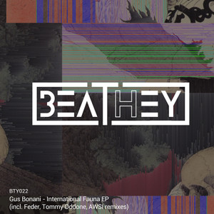 International Fauna (Feder Remix)