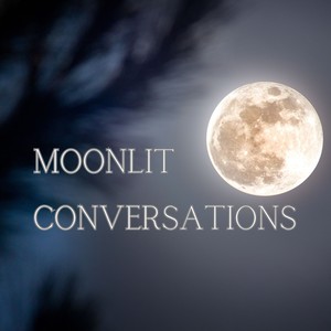 Moonlit Conversations