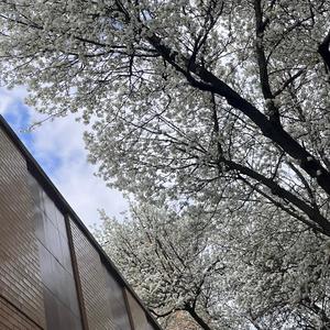 550 (feat. KRBY) (Explicit)