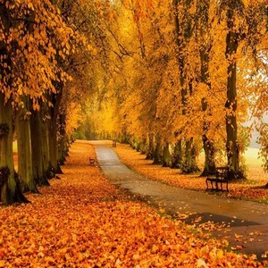 走进明天的幸福 (雪落版)