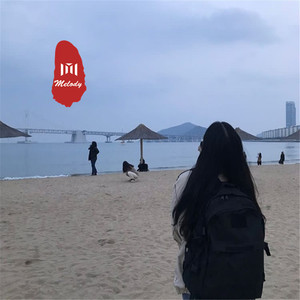 金达莱花 (DJ版)