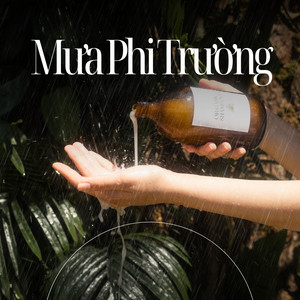 Mưa Phi Trường