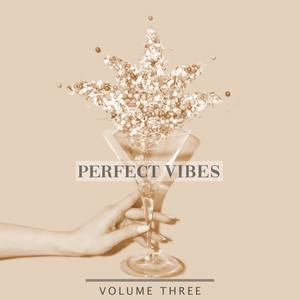 Perfect Vibes, Vol. 3 (Finest Selection Of Modern House And Deep House Tunes)