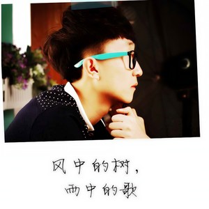 风中的树，雨中的歌