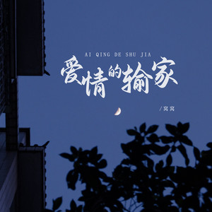 爱情的输家封面
