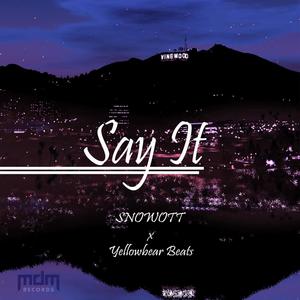 Say It (feat. SNOWOTT) (Explicit)