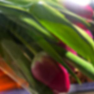 Sunshine @ Knight (Explicit)