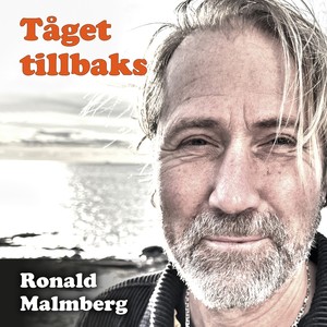 Tåget tillbaks (Radio Edit)