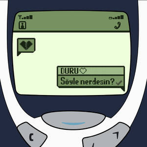 Söyle Nerdesin