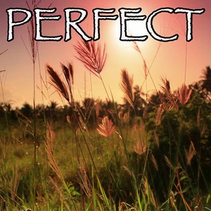 Perfect - Tribute to Ed Sheeran (Instrumental Version)