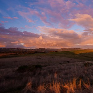 还是会想你-海来阿本