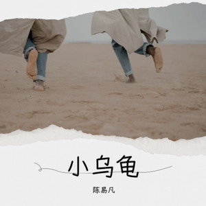 小乌龟