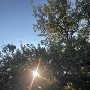 she gave up. (Lucas Scharff)